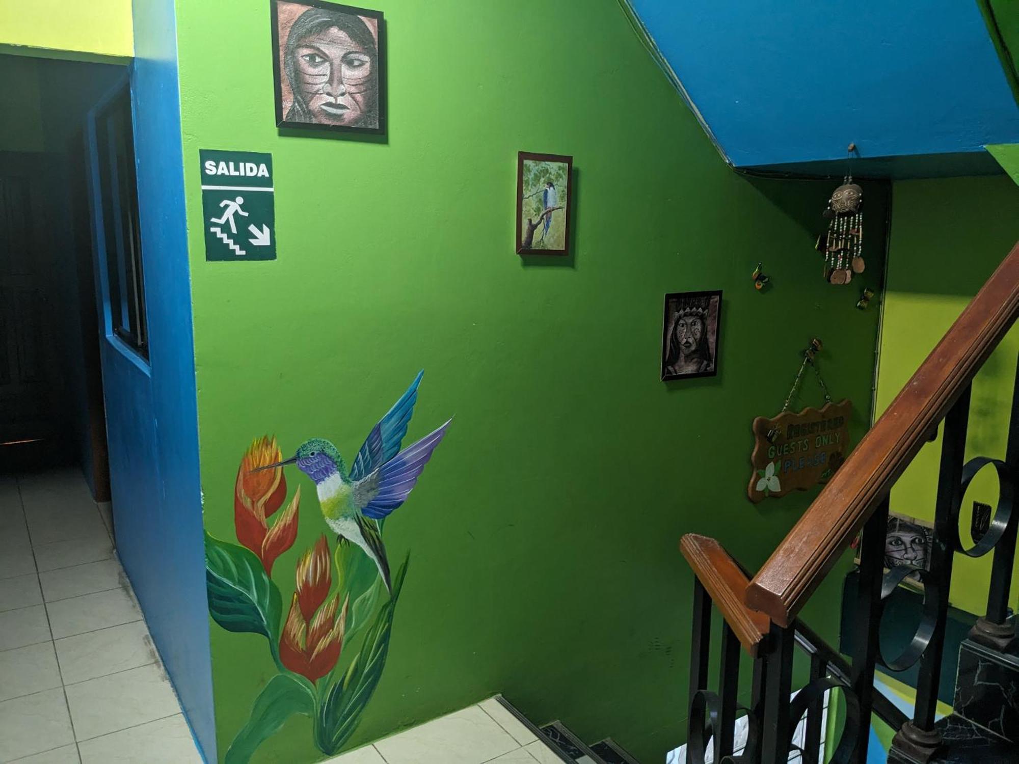 Amazon Dream Hostel With Ac And Starlink Iquitos Exteriör bild